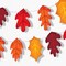 Big Dot of Happiness Fall Leaves Garland Banner, Thanksgiving Decor, Harvest Party Decorations Backdrop, 30 Feet of Cord, 15 Paper Autumn Leaf Shapes